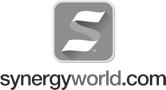 Synergy World